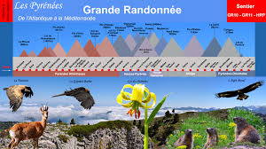 Selon votre nationalité, la durée et le motif du des conseils de professionnels pour progresser en trail. La Grande Traversee Des Pyrenees Les Topos Pyrenees Par Mariano