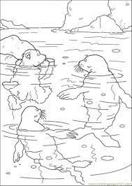 Polar Bear And Swimming With The Walrus Ook Als Online Kleurplaat Bear Coloring Pages Polar Bear Coloring Page Animal Coloring Pages