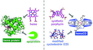 Image result for Heme