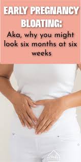 Pin On Pregnancy