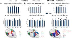 Cunctisque erroribus castigate. see other formats Bin1 Genetic Risk Factor For Alzheimer Is Sufficient To Induce Early Structural Tract Alterations In Entorhinal Hippocampal Area And Memory Related Hippocampal Multi Scale Impairments Biorxiv