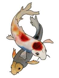 Two Japanese Koi Fish Koi Fish Drawing Fish Drawings Koi Fish