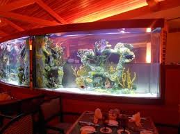 Ocean Floor Aquariums Jacksonville Fl Aquarium Ocean Aquascape