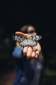 The Butterfly Effect 1080p 2k 4k 5k Hd Wallpapers Free Download Wallpaper Flare Select one suitable for the posture of the model and place it above her add a mask to this layer and use a soft black brush to reduce the visibility of the effect on some. the butterfly effect 1080p 2k 4k 5k