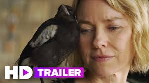 M4ufree, free movie, best movies, watch movie online , watch penguin bloom (2020) movie online, free movie penguin bloom (2020) with english subtitles, watch penguin. Penguin Bloom Trailer 2021 Netflix Youtube