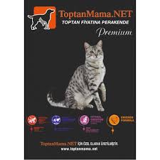 En Ucuz Toptanmama Gold Premium Kedi Mamasi 15kg Gurme Tavuklu Balikli Kuzu Etli Yetiskin Yavru Kedi