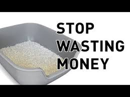 1 172 749 tykkäystä · 7 218 puhuu tästä · 599 829 oli täällä. You Re Doing Your Cat Litter Wrong Youtube Tractor Supply Has Cheap And Used This For A While Before Okocat L Cat Litter Box Cheap Cat Litter Pine Cat Litter