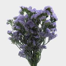 Free shipping, gift cards, and more. Wholesale Flowers Bulk Flowers Online Blooms By The Box
