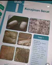 Maybe you would like to learn more about one of these? Jawab Donk Ini Nama Seratnya Apa Aja Semuanya Yaa Jangan Ngasal Ya Brainly Co Id