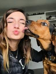 Lost Dog Earl in Williams, AZ Area