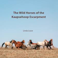 Book rocking horse ranch resort, highland on tripadvisor: The First Coffee Table Book About Kaapsehoop S Famous Horses Lowvelder