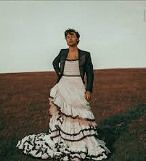 Harry's phenomenon is of course not limited to europe, he achieves amazing musical results also in the united states, where most of the time he is at. Harry Styles Harry Styles Vogue Victorian Dress