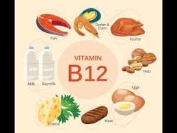 Like trout, salmon is a rich source of protein and heart. 10 Top Vitamin B12 Rich Foods Their Benefits Femina In