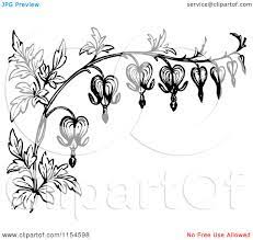 Stylized Bleeding Heart Flower Drawing White Border Of Bleeding Heart Flowers Royalty F Heart Flower Tattoo Bleeding Heart Flower Vintage Flower Tattoo