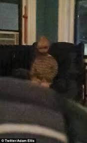 A shadow person invades a home in the uk and a creepy doll wreaks havoc. 100 Ghosts Ideas Ghost Photos Ghost Pictures Ghost And Ghouls