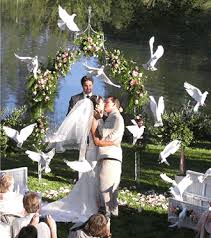 Pin By White Wing Loft White Dove Rel On Magical Wedding Moments Outdoor Wedding Pictures Wedding Doves Wedding