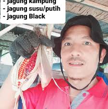 Ketakutan adalah bagian alami dari kehidupan manusia. Ia muncul saat kita  menghadapi sesuatu yang belum pasti, asing, atau berisiko. Merasa takut  bukanlah tanda kelemahan, justru itu menunjukkan bahwa kita sadar akan  tantangan