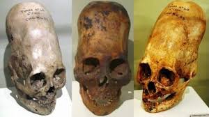 Image result for anunnaki