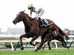 【競馬予想】函館記念は10年連続で万馬券 今年「穴」をあけそうな ...