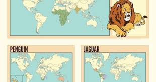 The Worlds 21 Favourite Animals And Where To Find Them Fun Facts About Animals Infographic Animal Rescue Ideas