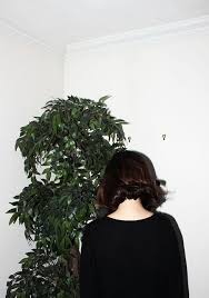 Www Sharongong Com Blue Sargent Beauty Pansies