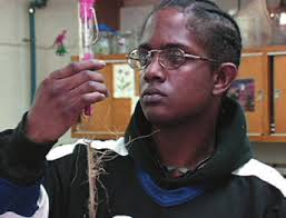 Composting in the Classroom: Scientific Inquiry for High School Students