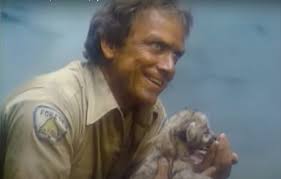 Apparently, this actors name is Monte Markham. I discovered this, by  watching an old children's classic with a theme tune to die for. The  Littlest Hobo. Then,