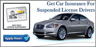 Mot test make sure it is current. Get Suspended License Car Insurance With Zero Down Payment No Credit Check Needed Getting Car Insurance Car Payment Car Insurance