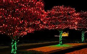 Christmas Timeee Green Christmas Lights Red Christmas Lights Christmas Lights Outside