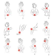 Smooth muscles control involuntary functions. Outline Vector Illustration Of Woman Pain Set Line Female Feeling Pain In Different Body Parts Tasmeemme Com