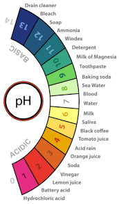A Ph Scale Along With Numbers Of The Ph Of Some Common Substances Chemistry Education Chemistry Lessons Chemistry