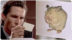 Szczyr w różnych miejscach