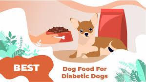 It can effectively control the blood sugar level as it contains 0.5% sugar and starch quantity is less. Best Dog Food For Diabetic Dogs 2021 Reviews Ratings