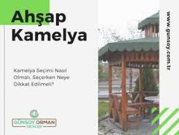 Sonunda bir sıralama fabrikası almak istediğinizde, kesimlerle çoğaltma yapmak uygundur. Kamelya Secimi Nasil Olmalidir Gunsoy Orman Urunleri