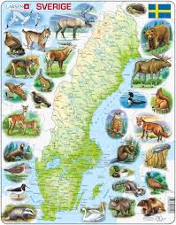 Karta över sverige, geografisk, fysisk, politiska kartan provinsen, stockholm map bild. Pussel Karta Sverige Maxi