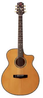 Difficult album to find online, for entertainment purposes only. George Kooymans Homestead Guitars
