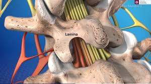 Maybe you would like to learn more about one of these? Hernia De Disc Lombara Simptome Cauze Diagnostic Si Tratament
