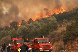 Οι ασύμμετρες πυρκαγιές του 2007: Oi Pio Fonikes Pyrkagies Sthn Ellada Reader