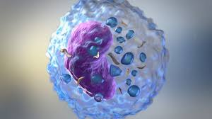 There is no cure, but the symptoms can be managed. Aisha I Abdullah Phd Author At Myasthenia Gravis News