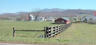 Image result for Vahadenia