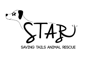 V 4.10 | free animal rescue webdesign. Pets For Adoption At Saving Tails Animal Rescue Star In Frankenmuth Mi Petfinder