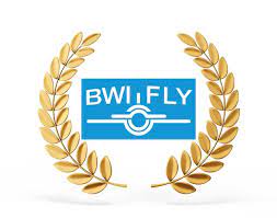 This insurance coverage is underwritten by ace american insurance company. Bwi Named As Best Overall Aircraft Insurance Broker Of 2021 By Investopedia Bwi Aviation Insurance