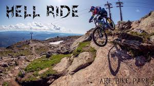 Biff, bruce, kid cat, maddie, spike, stu. English Pivot Cycles