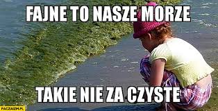 Check spelling or type a new query. Nad Morzem Memy Paczaizm Pl Memy Polityczne Smieszne Obrazki Dowcipy Gify I Cytaty