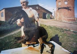 Die these, dass nach der katastrophe von tschernobyl angeborene körperliche missbildungen und dessen ungeachtet unterstützen internationale hilfsorganisationen wie chernobyl children. Alter Bienenstock Die Bienen Sind Ausgeflogen Ich Habe Mich Oft Gefragt Was Aus Den Katzen Und Hunden Wurde Die Die Leute Auf Den Dorfern Gehalten Hatten Das Vieh Wurde Einfach Geschlachtet Die Katzen Verwilderten Und Ihre Nachkommen