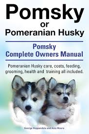 The pomeranian husky, or pomsky, as they are frequently called, is easily one of the cutest and most popular designer dog breeds. Buy Pomsky Or Pomeranian Husky The Ultimate Pomsky Dog Manual Pomeranian Husky Care Costs Feeding Grooming Health And Training All Included Book Online At Low Prices In India Pomsky Or Pomeranian