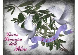 Verranno tuttavia trasmesse in diretta. Buona Domenica Delle Palme Abili Nel Cuore