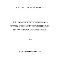 Image result for Vernonia karaguensis