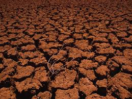 Maybe you would like to learn more about one of these? Understanding Droughts National Geographic Society
