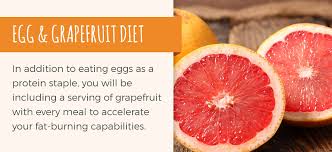 A Guide To Egg Based Diets Sauder S Eggs